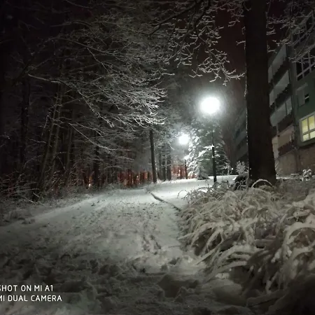 4 Przy Parku Lesnym *