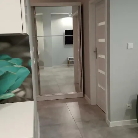 Apartment 4 Przy Parku Lesnym *