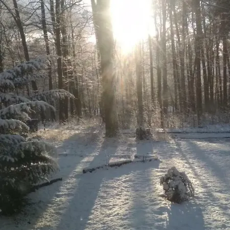 4 Przy Parku Lesnym Appartement