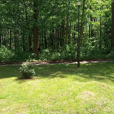 4 Przy Parku Lesnym Polanica-Zdrój