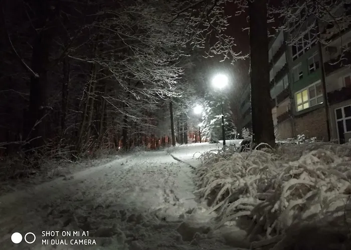 4 Przy Parku Lesnym *