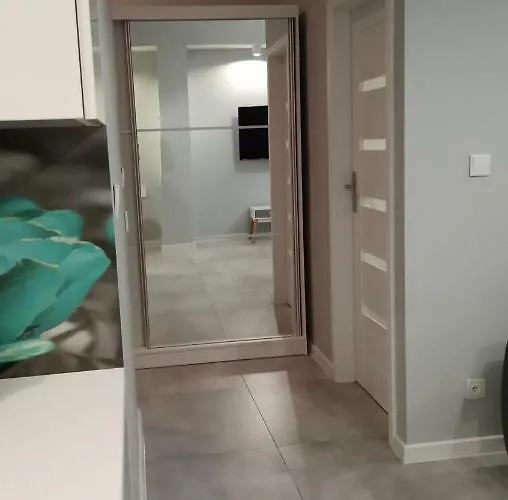 Lägenhet 4 Przy Parku Lesnym *