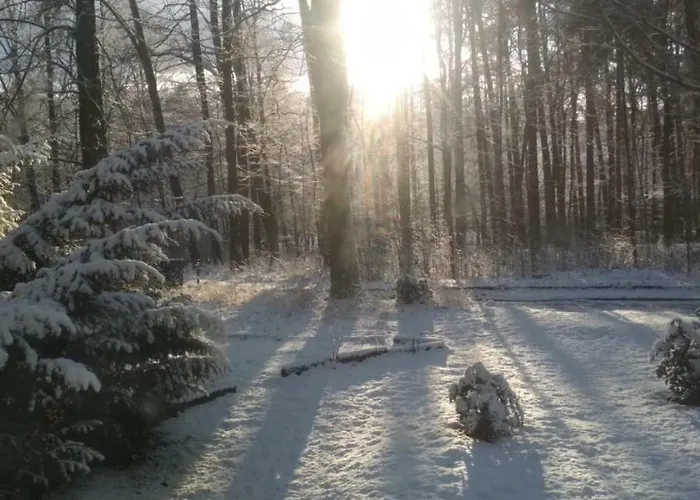 4 Przy Parku Lesnym 아파트