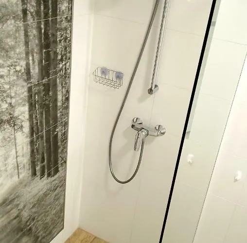 Lägenhet 4 Przy Parku Lesnym *